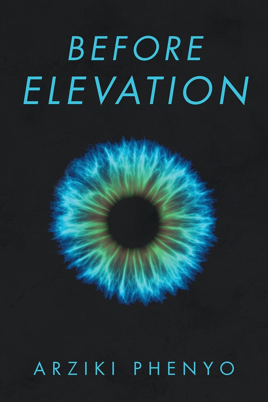 Before Elevation - Book Cover